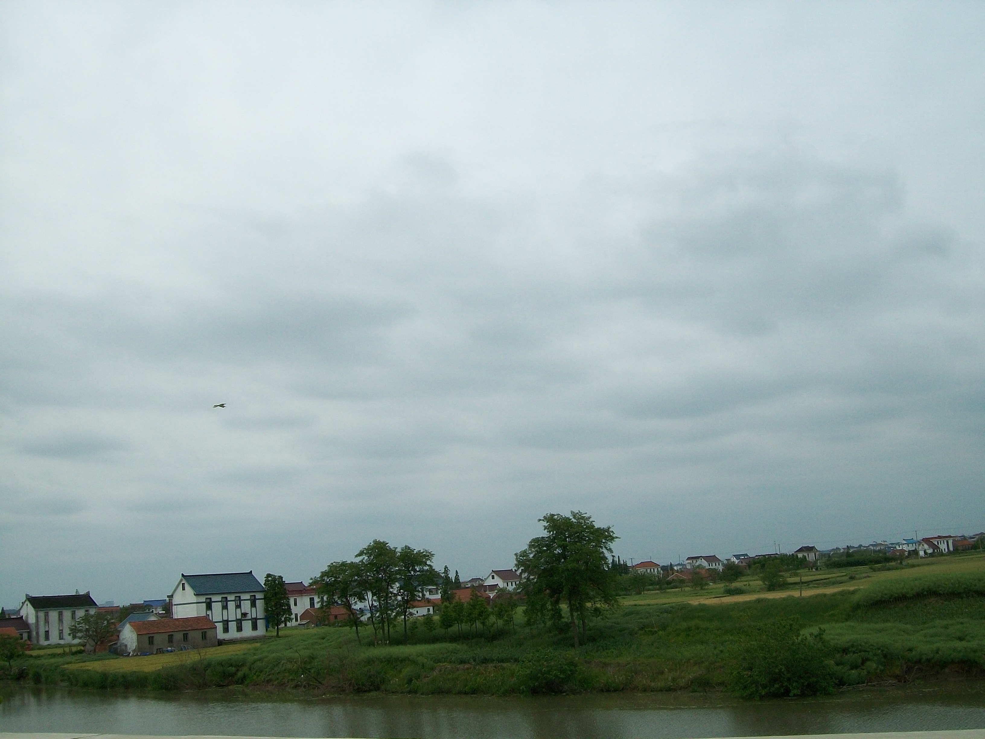 100_0188.JPG
